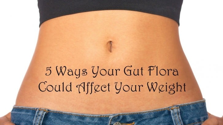 Daily Body Restore 5 ways your gut flora could affect your weight