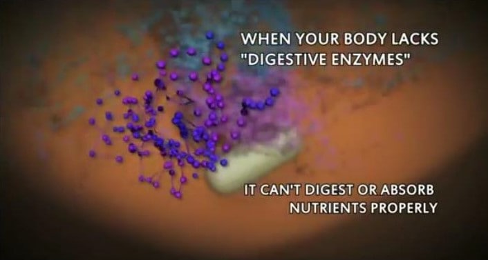 enzymes01